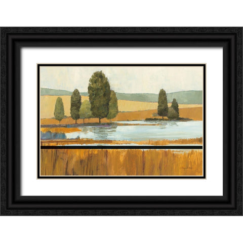 Amber Lake Tan Yellow Field Crop Black Ornate Wood Framed Art Print with Double Matting by Tillmon, Avery