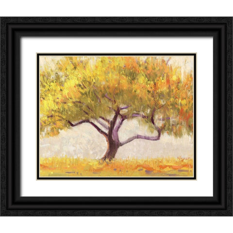 Apricot Tree Black Ornate Wood Framed Art Print with Double Matting by Novak, Shirley