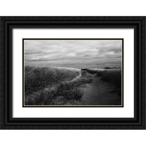 Beach Grasses Black Ornate Wood Framed Art Print with Double Matting by Aledanda