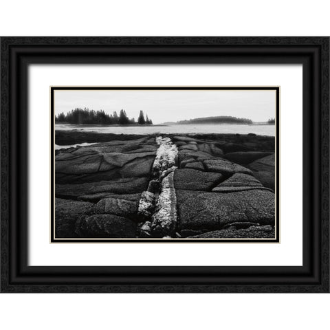 Fissures in Maine Black Ornate Wood Framed Art Print with Double Matting by Aledanda