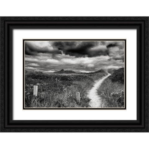 Nantucket Pathway Black Ornate Wood Framed Art Print with Double Matting by Aledanda