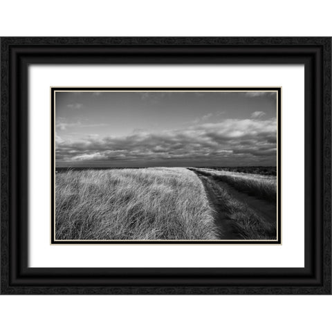 Road to the Beach Black Ornate Wood Framed Art Print with Double Matting by Aledanda
