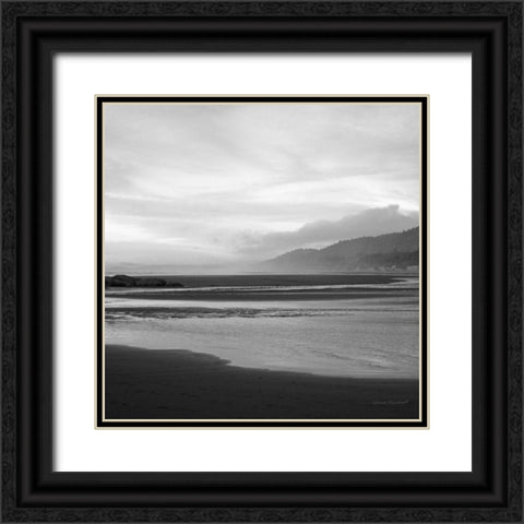 Salt Creek IV Black Ornate Wood Framed Art Print with Double Matting by Marshall, Laura