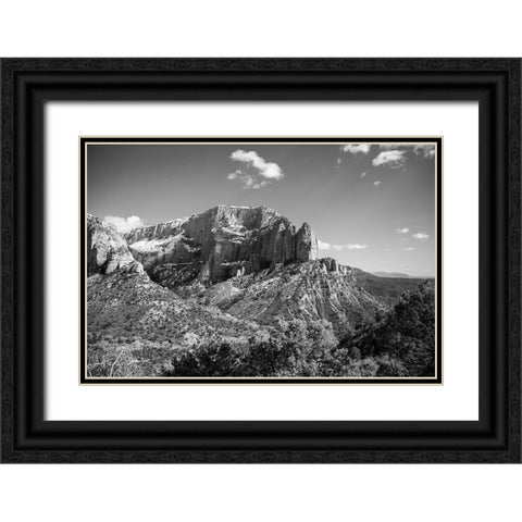 Timber Top Black Ornate Wood Framed Art Print with Double Matting by Marshall, Laura