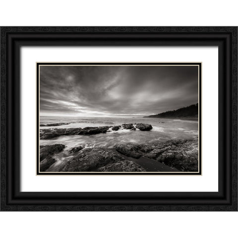 Kalaloch Beach Black Ornate Wood Framed Art Print with Double Matting by Majchrowicz, Alan