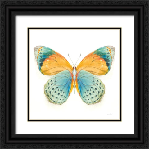 Fragile Wings Butterfly I Black Ornate Wood Framed Art Print with Double Matting by Nai, Danhui