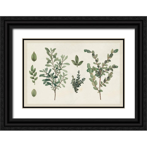 Victorian Garden Chart I Black Ornate Wood Framed Art Print with Double Matting by Wild Apple Portfolio