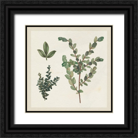 Victorian Garden Chart II Black Ornate Wood Framed Art Print with Double Matting by Wild Apple Portfolio