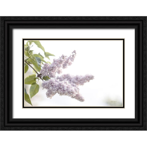 Pale Lilacs I Black Ornate Wood Framed Art Print with Double Matting by Schlabach, Sue