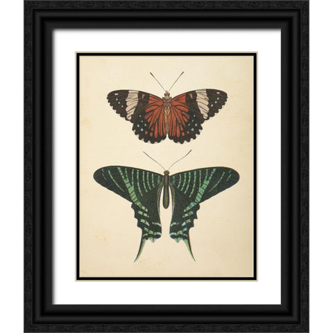Papillons I Black Ornate Wood Framed Art Print with Double Matting by Wild Apple Portfolio
