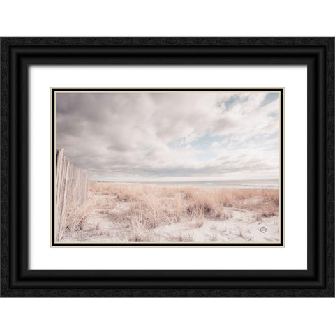 Atlantic Coast Afternoon Soft Black Ornate Wood Framed Art Print with Double Matting by Larson, Nathan