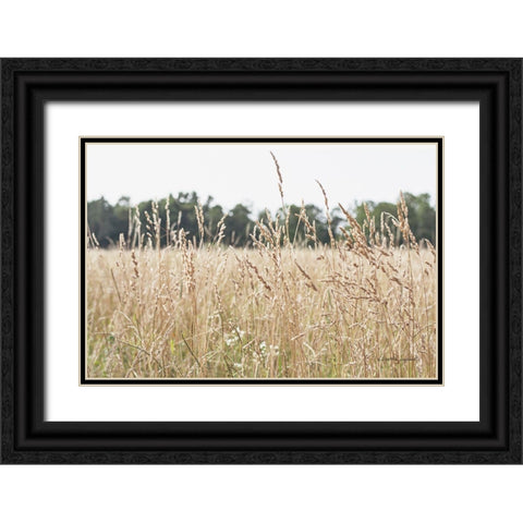 Summer Field II Black Ornate Wood Framed Art Print with Double Matting by Urquhart, Elizabeth