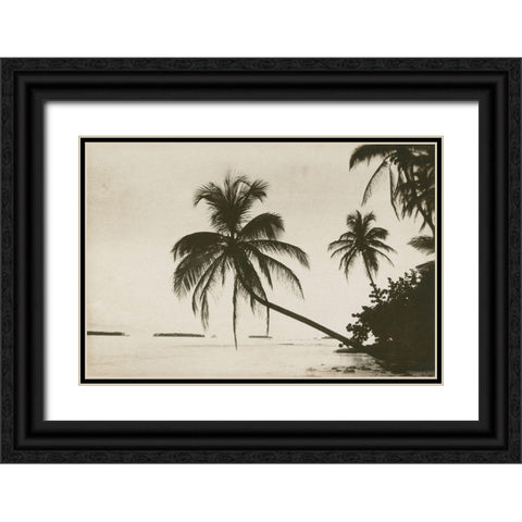 Palm Beach I Black Ornate Wood Framed Art Print with Double Matting by Wild Apple Portfolio