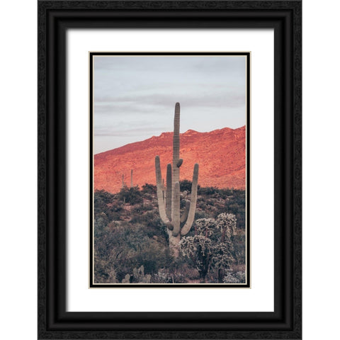 Sunsets and Saguaros I Black Ornate Wood Framed Art Print with Double Matting by Larson, Nathan