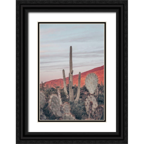 Sunsets and Saguaros II Black Ornate Wood Framed Art Print with Double Matting by Larson, Nathan