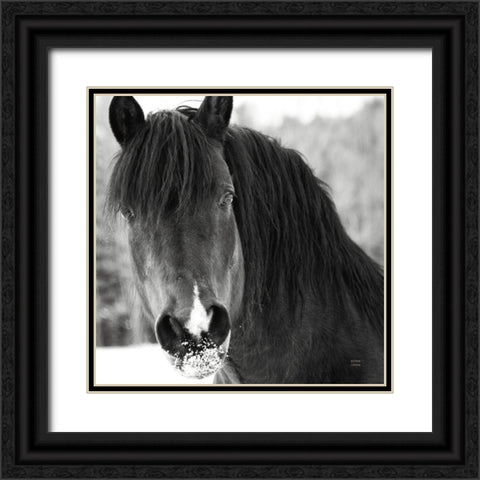 Winter Horse II Black Ornate Wood Framed Art Print with Double Matting by Larson, Nathan