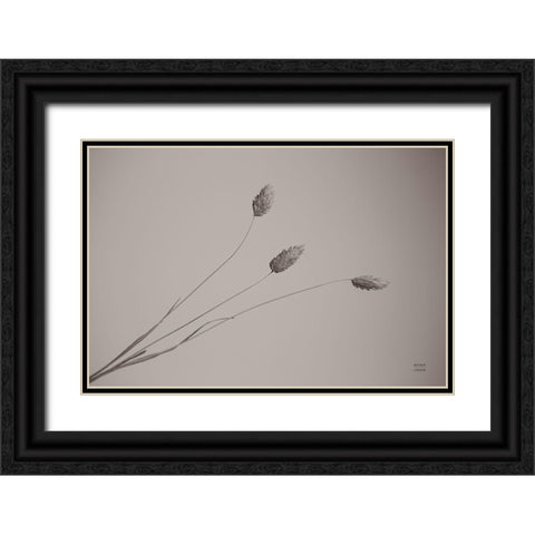 Grass Study Black Ornate Wood Framed Art Print with Double Matting by Larson, Nathan