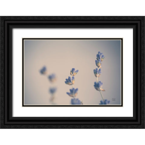 Lavender Study Color Black Ornate Wood Framed Art Print with Double Matting by Larson, Nathan