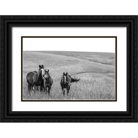 Montana Moves Black Ornate Wood Framed Art Print with Double Matting by Larson, Nathan
