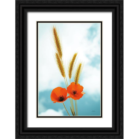 Wild Poppies Black Ornate Wood Framed Art Print with Double Matting by Aledanda