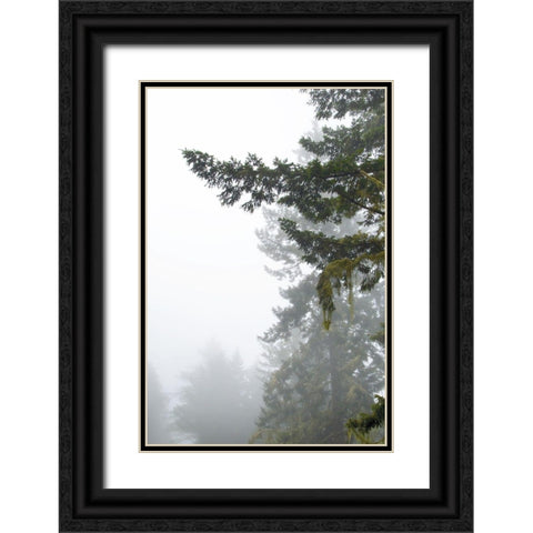 Majestic Pines II Black Ornate Wood Framed Art Print with Double Matting by Van Swearingen, Debra