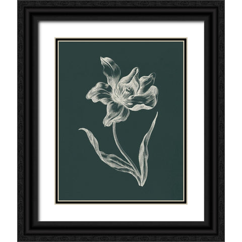 Eden Tulips I Black Ornate Wood Framed Art Print with Double Matting by Wild Apple Portfolio