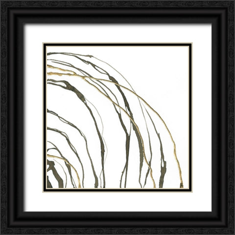Not Quite Concentric II Black Ornate Wood Framed Art Print with Double Matting by Paschke, Chris