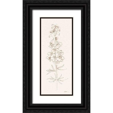 Delphinium I Black Ornate Wood Framed Art Print with Double Matting by Novak, Shirley