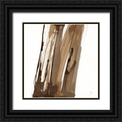 Walnut Falls II Black Ornate Wood Framed Art Print with Double Matting by Paschke, Chris