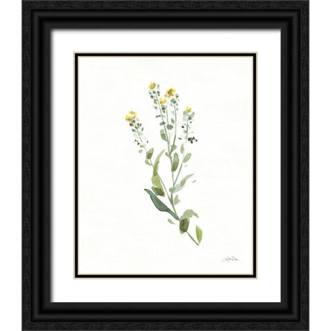 Flowers of the Wild IV Black Ornate Wood Framed Art Print with Double Matting by Pete, Katrina