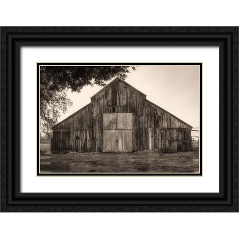 Hiding from the Rain Black Ornate Wood Framed Art Print with Double Matting by Larson, Nathan