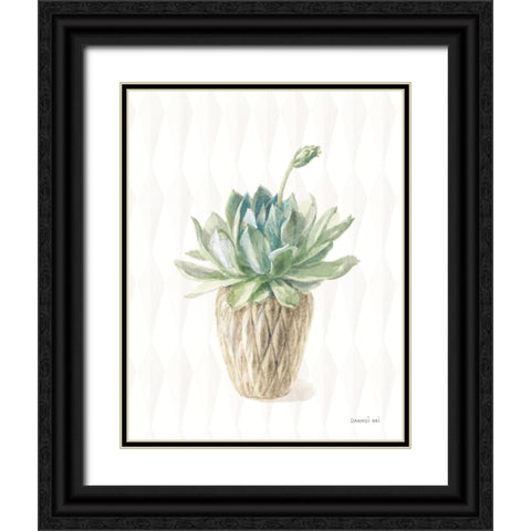 Desert Greenhouse XV Black Ornate Wood Framed Art Print with Double Matting by Nai, Danhui