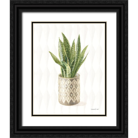 Desert Greenhouse XVI Black Ornate Wood Framed Art Print with Double Matting by Nai, Danhui