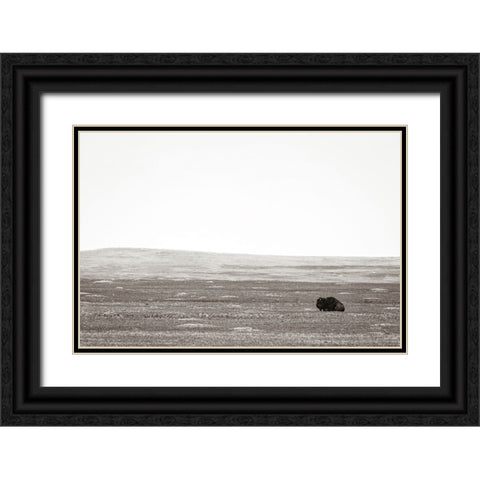 Badlands Guard Black Ornate Wood Framed Art Print with Double Matting by Larson, Nathan