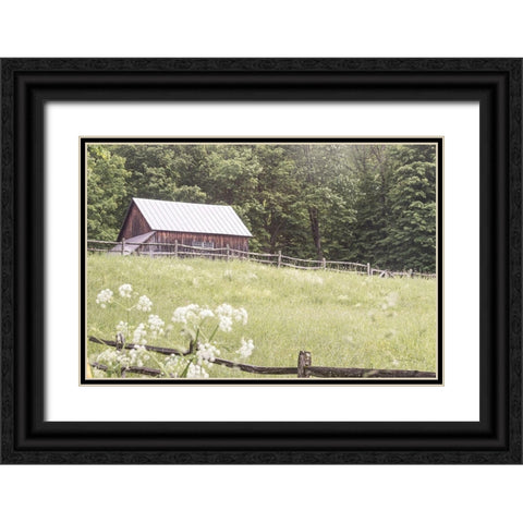 Summer Farm I Black Ornate Wood Framed Art Print with Double Matting by Schlabach, Sue