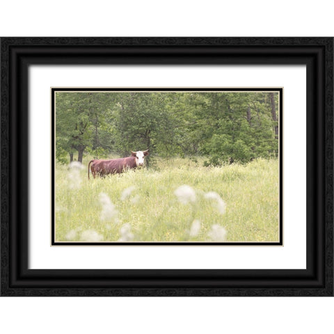 Summer Farm II Black Ornate Wood Framed Art Print with Double Matting by Schlabach, Sue