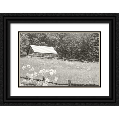 Summer Farm I BW Black Ornate Wood Framed Art Print with Double Matting by Schlabach, Sue