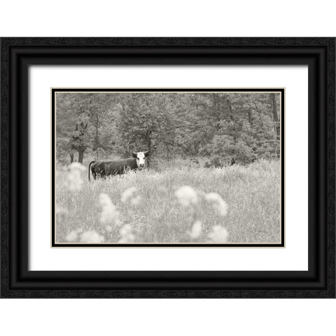 Summer Farm II BW Black Ornate Wood Framed Art Print with Double Matting by Schlabach, Sue