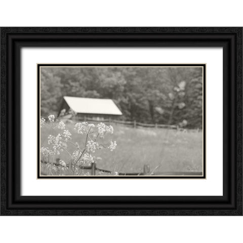 Summer Farm III BW Black Ornate Wood Framed Art Print with Double Matting by Schlabach, Sue