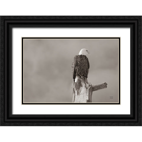 Eagle Perch Black Ornate Wood Framed Art Print with Double Matting by Larson, Nathan