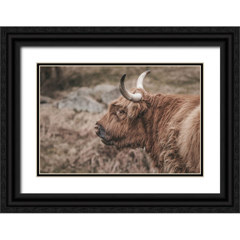 Highland Cow on Watch Faded Black Ornate Wood Framed Art Print with Double Matting by Larson, Nathan