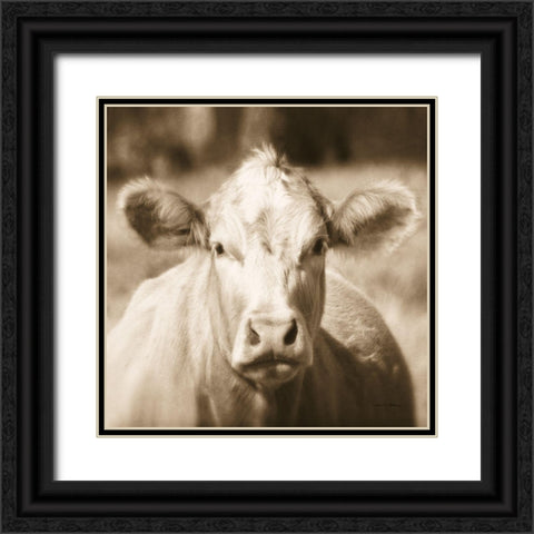 Pasture Cow Sepia Sq Black Ornate Wood Framed Art Print with Double Matting by Van Swearingen, Debra