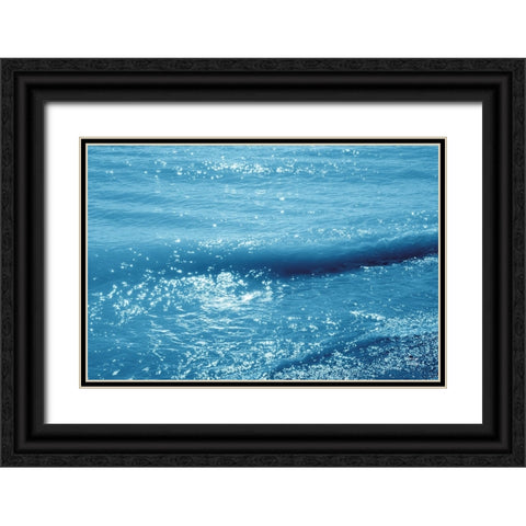 Sparkling Waters I Black Ornate Wood Framed Art Print with Double Matting by Larson, Nathan
