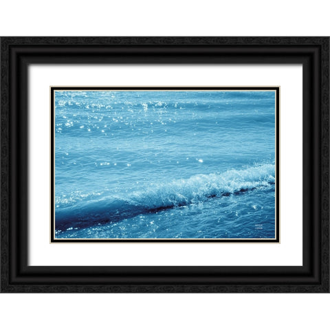 Sparkling Waters III Black Ornate Wood Framed Art Print with Double Matting by Larson, Nathan