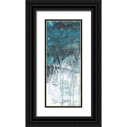 Glacial II Black Ornate Wood Framed Art Print with Double Matting by Prahl, Courtney