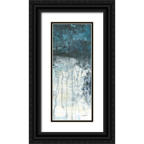 Glacial III Black Ornate Wood Framed Art Print with Double Matting by Prahl, Courtney