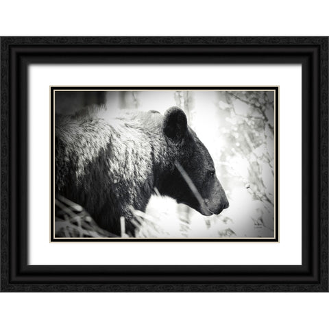 Bear Emerging Black Ornate Wood Framed Art Print with Double Matting by Larson, Nathan