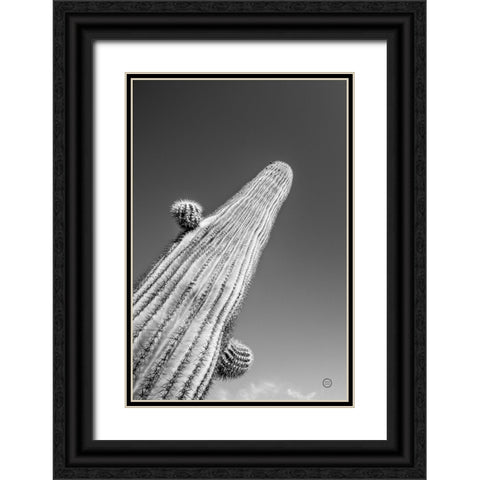 King I v2 Black Ornate Wood Framed Art Print with Double Matting by Larson, Nathan