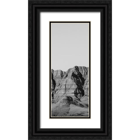 Badlands BW Panel I Black Ornate Wood Framed Art Print with Double Matting by Larson, Nathan