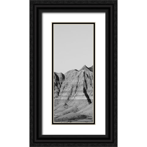 Badlands BW Panel II Black Ornate Wood Framed Art Print with Double Matting by Larson, Nathan